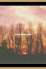 Mystic Stitch WL-13 Early Sunset