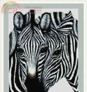 Zolotoe Runo CS-047