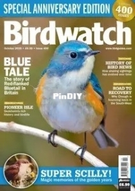 Birdwatch UK - Issue 400, October 2025