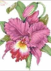 Elegant Orchid by Barbara Baatz from American School of Needlework ASN3712 Five Fabulous Flowers PCS