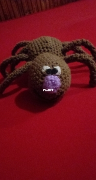 Little spider