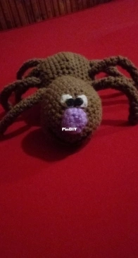 Little spider