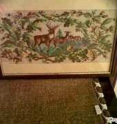 Forest Deer