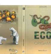 Eco Origami /Bernie Peyton