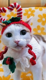 BJD clothes Craft - Svetlana Maxarova - Christmas Hat with Candy Canes for Pet - Светлана Максарова - Шапка с леденцами для домашнего питомца - English and Russian - Free