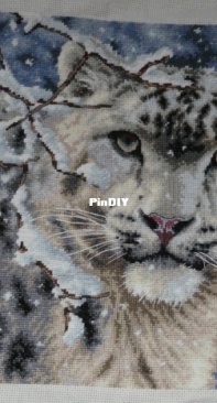 Dimensions 35244 Snow Leopard