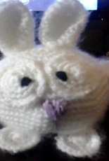 chubby rabbit