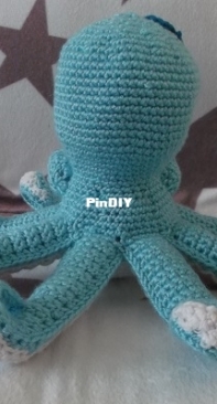 My octopus