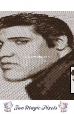 Two Magic Pixels - Elvis