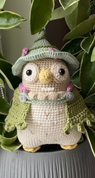 Crochet by Bogusia - Witch Owl