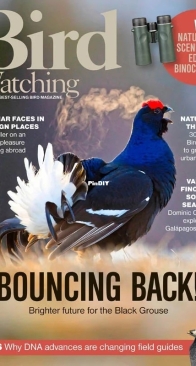 Bird Watching UK - April 2026