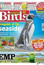 Cage & Aviary Birds - 12 July 2017