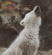 Laura Stitch -  ANI 022 - Wolf