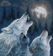 Dimensions - 35203 In Harmony