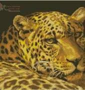 Leopard Portrait