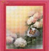 FIORI 62