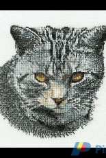 Thea Gouverneur 932 - Poes Piet (Cyprian Cat)