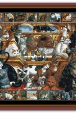 Witchykitt Designs - Cats of the World
