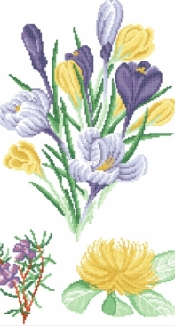 DMC Crocus