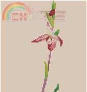 Orchid C from Le Idee Di Susanna 213
