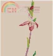 Orchid C from Le Idee Di Susanna 213