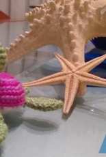 pulpo,peces,tortuga,cangrejo