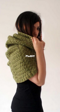 Khajiit Cowl - Lili Aghabeik (now van Wattum) - Lilirious Knits - English, Dutch