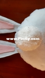 Peter, the cotton tail