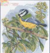 DMC K5555 Bluetit