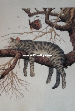Уставший кот - Tired Cat