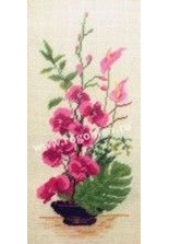 Rogoglen 7.95 - Ikebana with Orchids