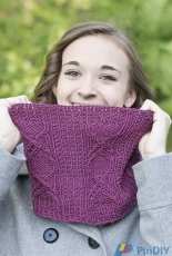 Elysian Eye Spy Cowl Designed by Laurie Beardsley  Cascade Yarns  w575 free