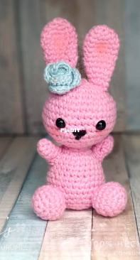 Pink Bunny