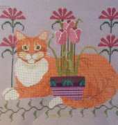 Red cat