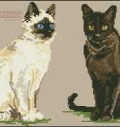 Artime Cuadros n º 4 Cat Black and White
