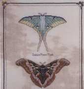 Dimples Design Pangaea - Wees Beasties Part 2