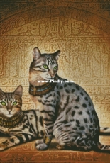 Chimera - Egyptian Maus