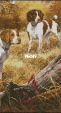 Chimera - Pheasant Hunting