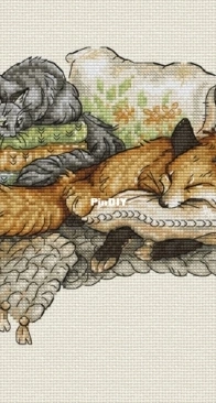 Arnautova Stitch - Daytime Sleep by Anastasia Arnautova SAGA