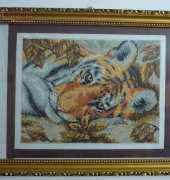 Dimensions - Beguiling Tiger