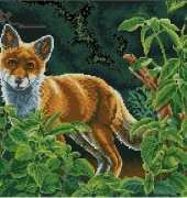 Anchor PCE925 Fox On Alert