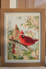 Cardinals
