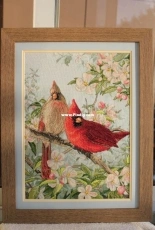 Cardinals