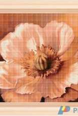 Stefy Palma - Fiori 118