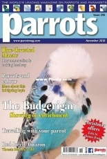 Parrots - November 2018