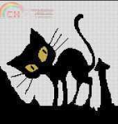 Gato Negro xsd