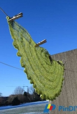 Pattern Fish - Martha Simonsen - Critron Shawl - Free