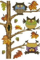 Neocraft RH-06 Autumn Owl Fall XSD