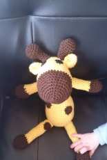 Lulu the Giraffe