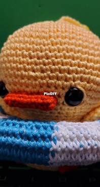 Duck and his Floaty